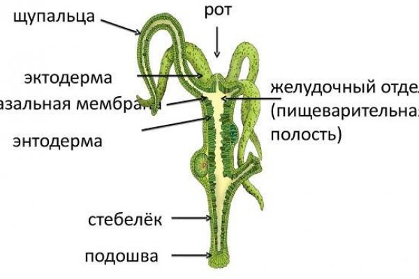 Гашиш цена